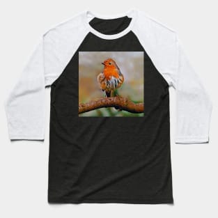 Beautiful Robin Baseball T-Shirt